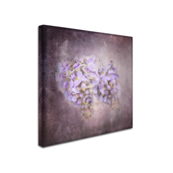 Jai Johnson 'Sweet Wisteria' Canvas Art,18x18